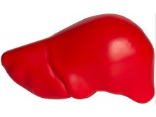 liver stress ball